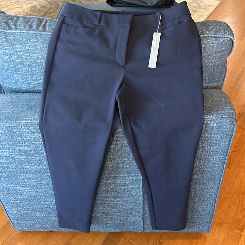Stylish cotton Loft blue full length pant 29” inseam never worn with tags